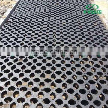 Concreting Plant Ecology Pouring Pile Strawberry Flower Grass Ground Floor Parking Lot Pavement Stone Clover Mold photo-3