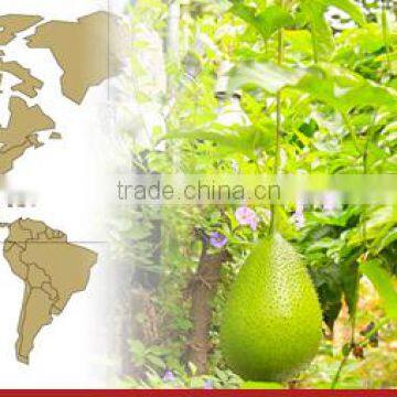 GAC FRUIT JUICE photo-3