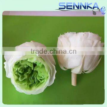 Natural Preserved Flower Wholesale Roses David Austin photo-4