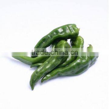 2016 lastest F1 hybrid green early maturing screw pepper seeds