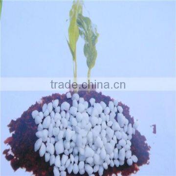 ammonium sulphate