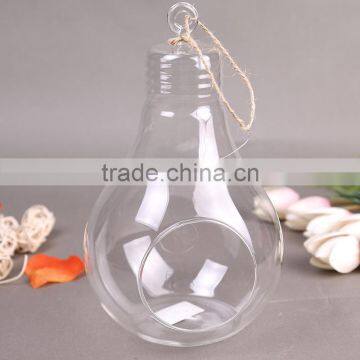 Micro landscape ecological lamp bulb shape Meaty hang plant glass vase