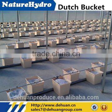 Pp Hydroponics Dutch Bucket Or Bato Bucket System For Tomato