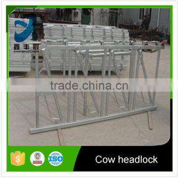 Cow farm equipment head locks