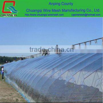 Single Span greenhouse for vegetable fruits and strawberry