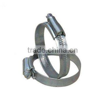 hose clip