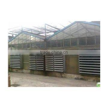 Commercial Greenhouse photo-4