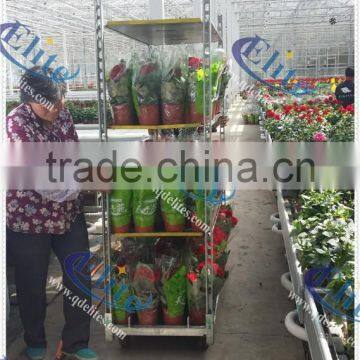 transport roller trolley/ plant cart / flower cart