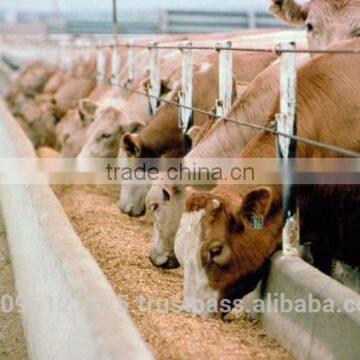Grass chopper machine for animals feed / Feed mixing machine / Animal feed grass cutting machine