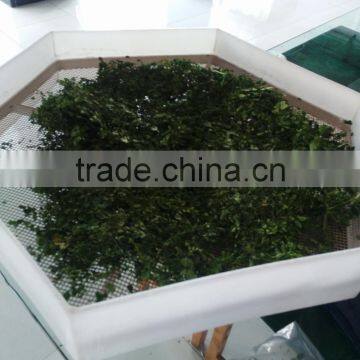 Moringa Leaf Drying Machine Microwave Oven photo-3