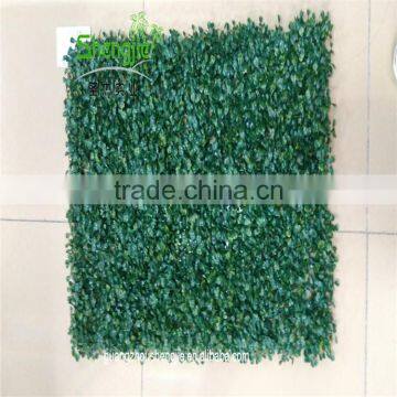 SJLJ013536 Factory Price Artificial Boxwood Green Hedge Fake Plastic Grass photo-6