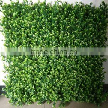 Outside Wall Plants Decoration photo-5