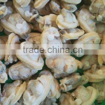 New Landing Frozen Boiled Hot Sale IQF Clam Meat Without Sand photo-2