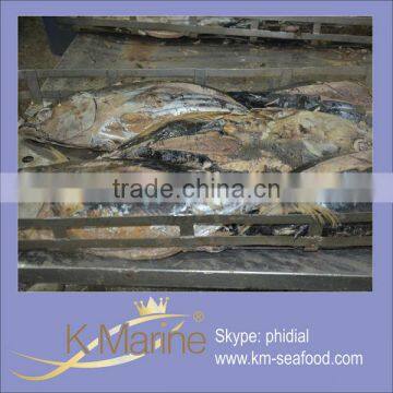 Professional Manufacture Supply High Quality Frozen Cooked Skipjack Tuna