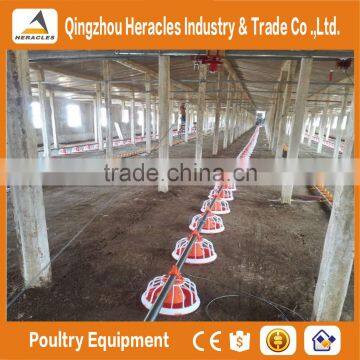 China factory price trade assurance poultry farming equipment -feeders and drinkers