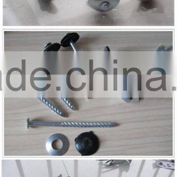 High Quality Roofing Nail From China Manufacturer photo-6
