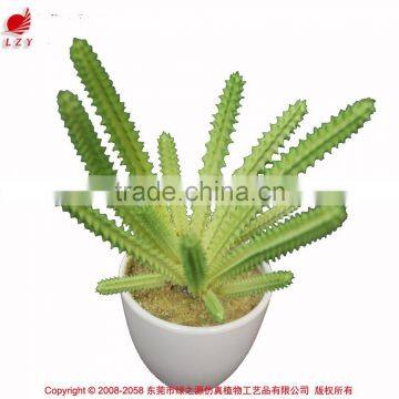 Artificial succulent home decorative tropical plants small manufacturing plant