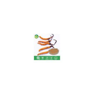 Cordyceps Mycelia Extract