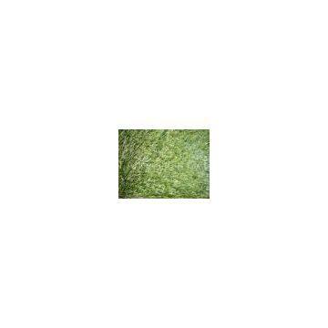 Coloring Artificial Grass Lawn For Sports / Football Field