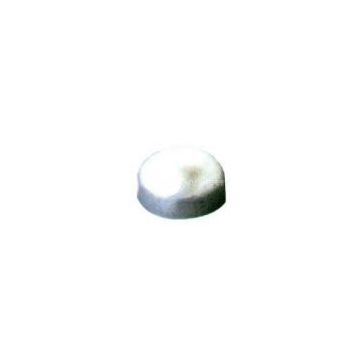 Pipe Cap (Seamless and Stainless)