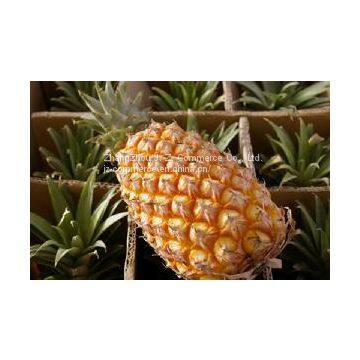 Pineapple photo-2