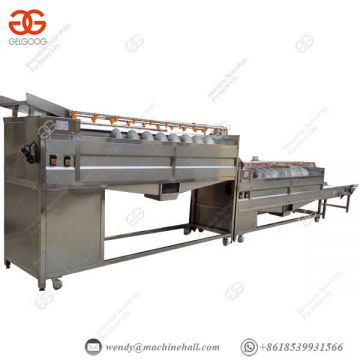 With Brush Roll Vegetable Cleaning Equipment Automatic