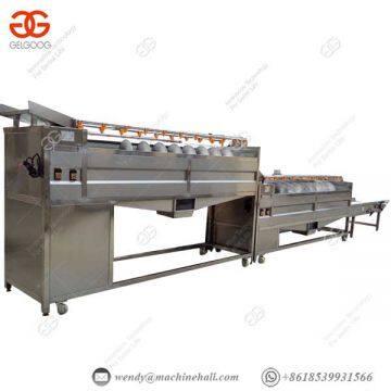 With Brush Roll Vegetable Cleaning Equipment Automatic