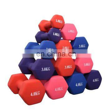 Fitness Equipment Adjustable Dumbbell Logo Plastic Dip Dumbbell Sets