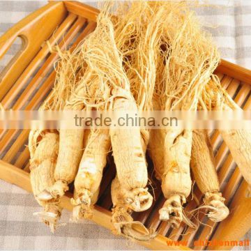 Healthy White Panax Ginseng with Lowest Price