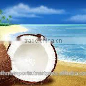 Fresh tasty and high protein coconut