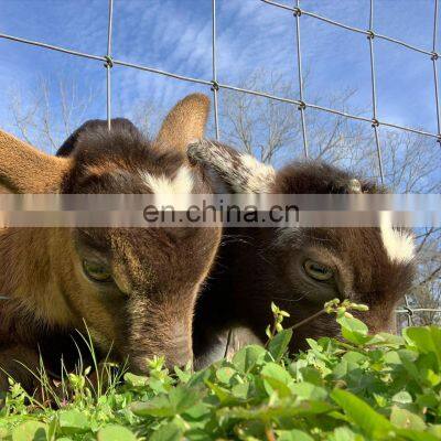 China Wholesale Low Price Wrought Iron Farm Field Fence
