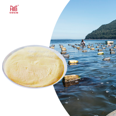 Natural Animal Extract Sea Cucumber Collagen peptide powder amazon photo-2