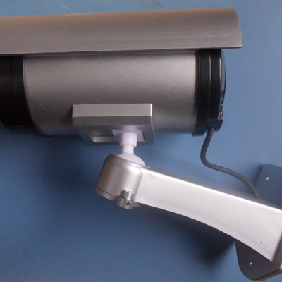 Simulated camera
