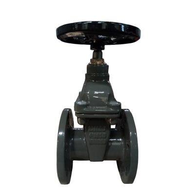 Hot Sale BS Standard Soft Seat Cast Iron Gate Valve Water Gate Valve Lighter Type Resilient Seat Gate Valve for Water Pipe photo-5