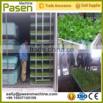 600kg/day automatic mung bean sprouting machine / seed sprouter machines