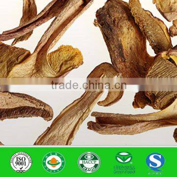 Pure Natural Dried Mushrooms Boletus from China