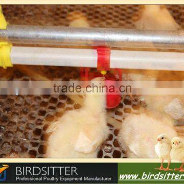 hot sale automatic chicken drink line equipment for chicken and broiler and breeder