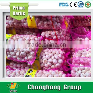 factory directly supply new crop garlic