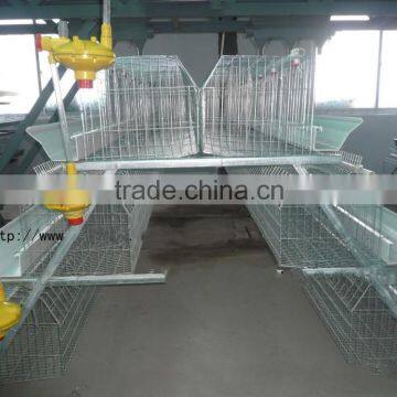 Used High Quality Chicken Farm Poultry Equipments for Sale