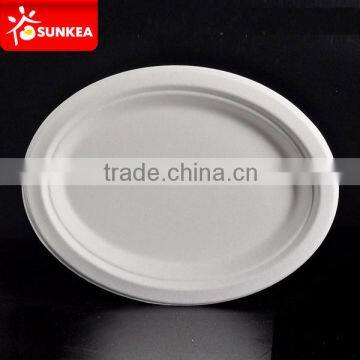 Food Grade Tableware Bagasse Paper Pulp Disposable Square Plate photo-4