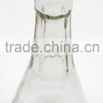 China most popular 100ml fruit wine & water glass bottle