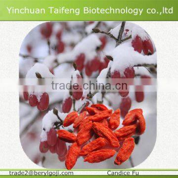 hot selling organic dried goji supplier