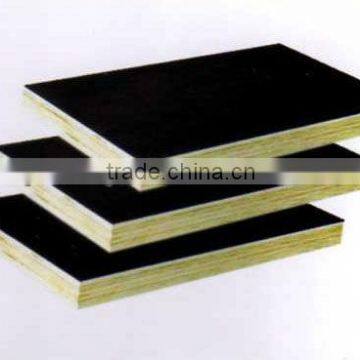 18MMX1220X2440 russia birch core film faced plywood