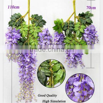 Chinese Native Mini Blue Chinese Wisteria Flowers