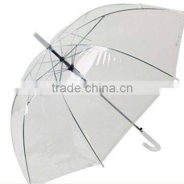 Transparent Umbrella