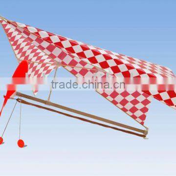 Educational Toy Hobby Model Paraplane Model