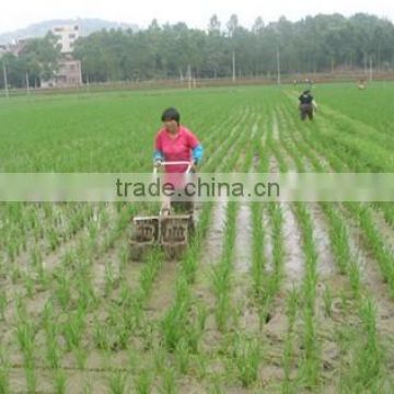 2014 factory hot sales paddy weeder