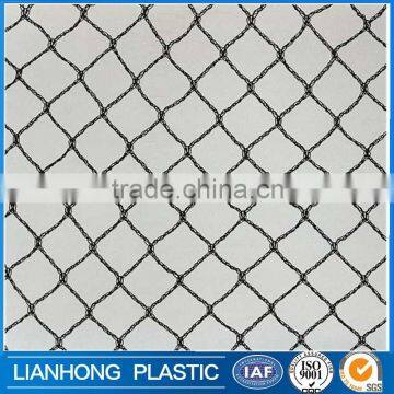 Bird Net Manufacturers, Bird Protection Nets From Factory, Orchard and Agriculture Use Anti Bir Nets photo-5