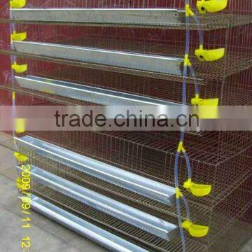 Poultry Battery Cages Waterer Equiped For Quail Rearing photo-3