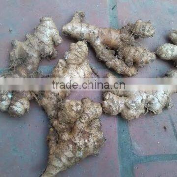 Fresh Ginger- 150g, 200g